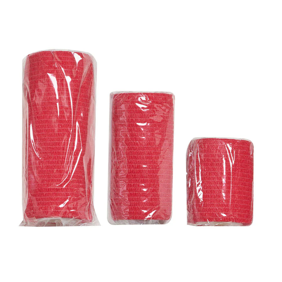 Kit de Primeiros Socorros para Animais SURVIVAL