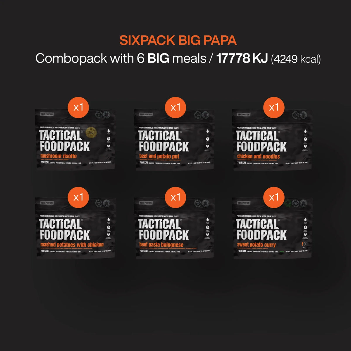 Sixpack BIG PAPA TACTICAL FOODPACK