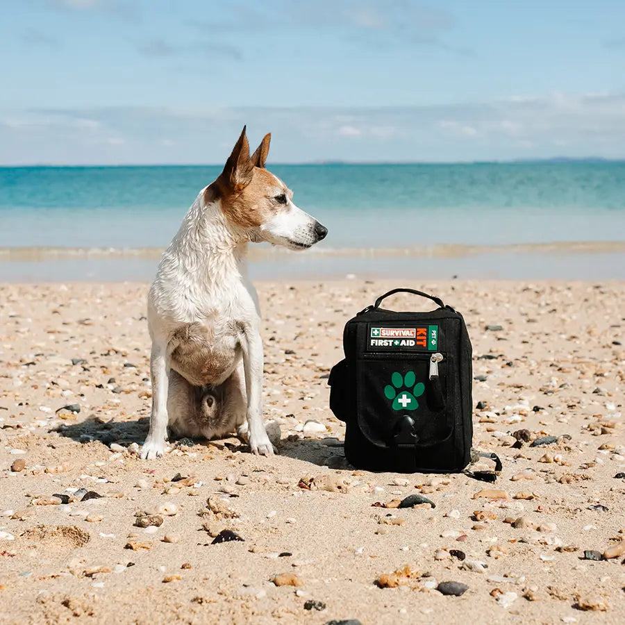 Kit de Primeiros Socorros para Animais SURVIVAL